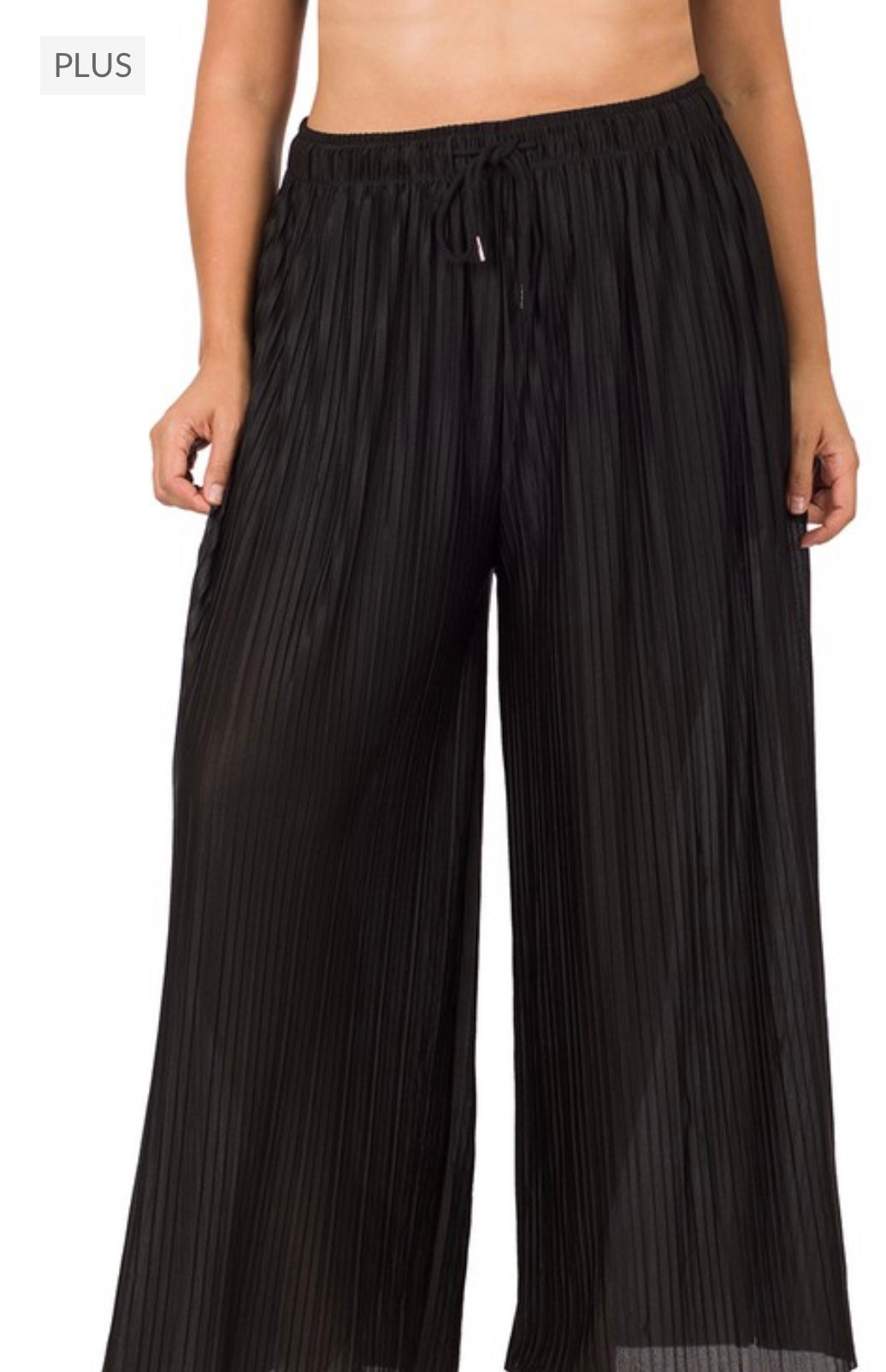 M- Plus Woven Pleated Wide Leg Pants with Lining ( Black )